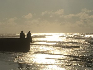 IMG_0517